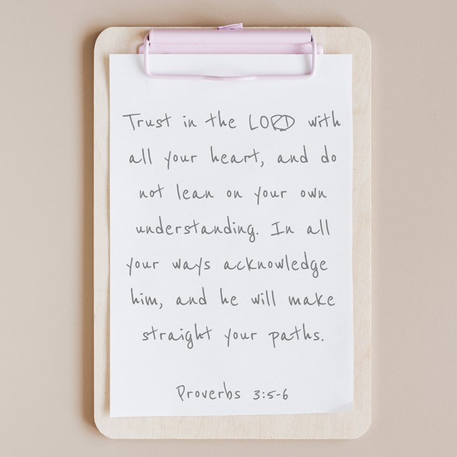 Trust in the LORD with all your heart, and do not lean on your own understanding. In all your ways acknowledge him, and he will make straight your paths. - Proverbs 3:5-6
