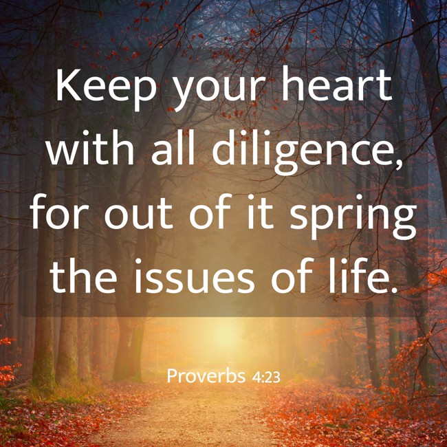 Keep your heart with all diligence, for out of it spring the issues of life. - Proverbs 4:23