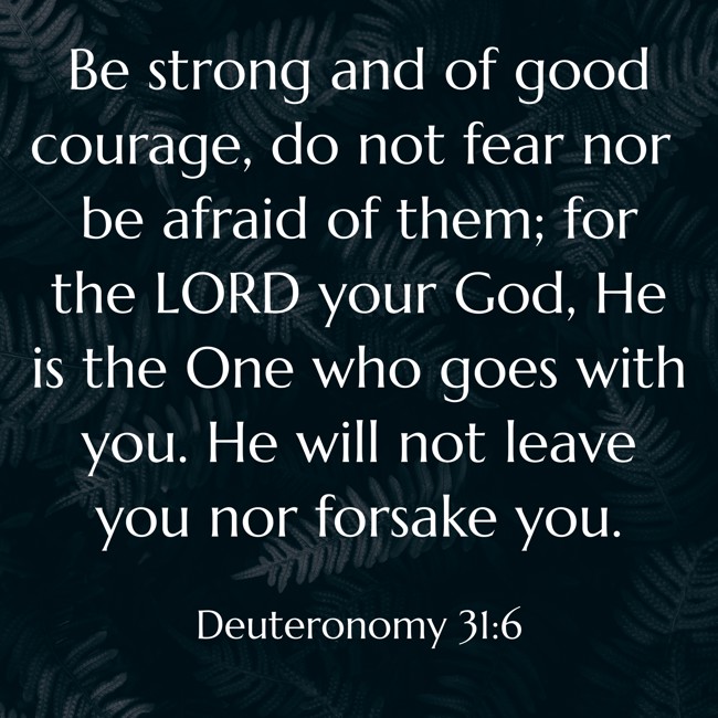 Be strong and of good courage, do not fear nor be afraid of them; for the LORD your God, He is the One who goes with you. He will not leave you nor forsake you. - Deuteronomy 31:6
