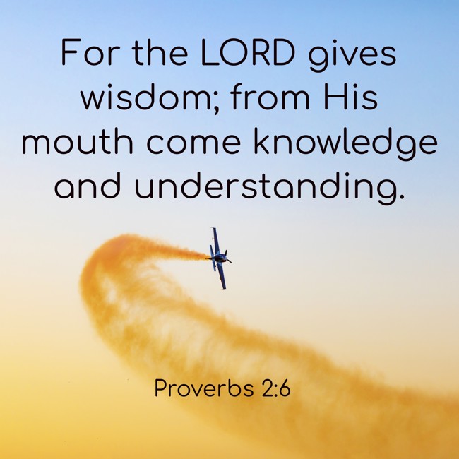 For the LORD gives wisdom; from His mouth come knowledge and understanding. - Proverbs 2:6