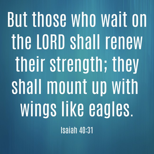 But those who wait on the LORD shall renew their strength; they shall mount up with wings like eagles. - Isaiah 40:31