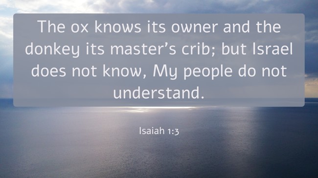 The ox knows its owner and the donkey its master's crib; but Israel does not know, My people do not understand. - Isaiah 1:3