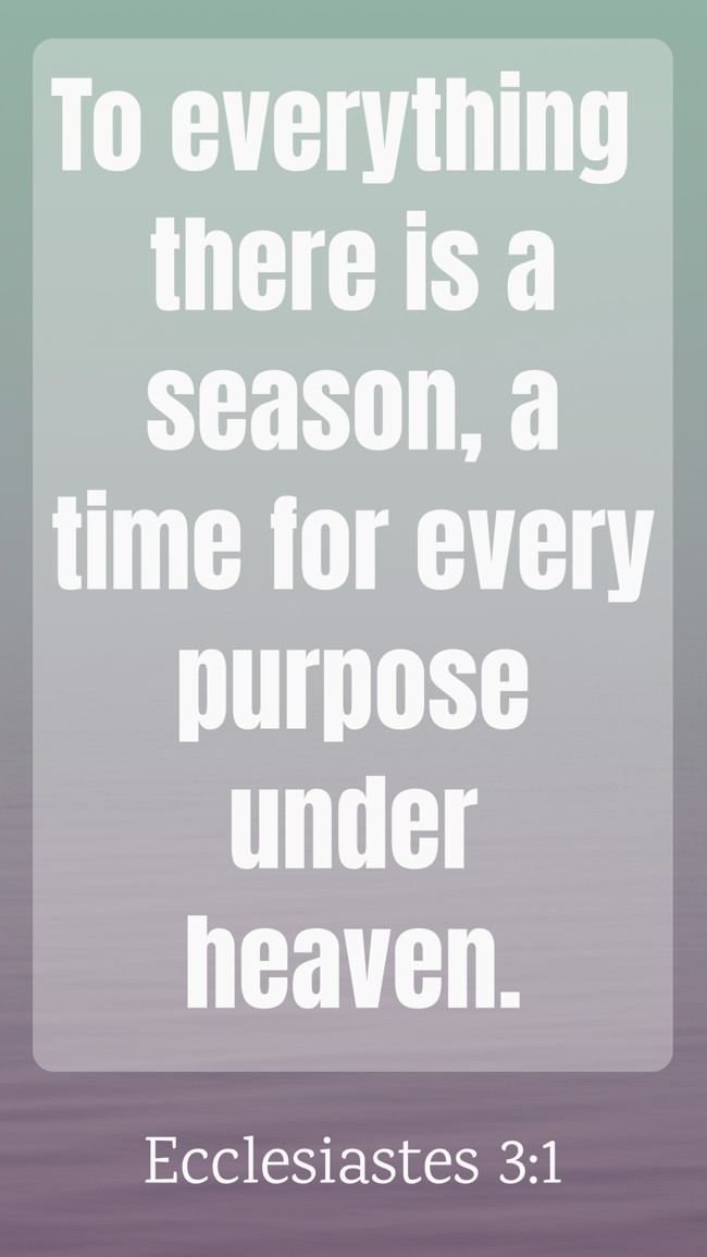 To everything there is a season, a time for every purpose under heaven. - Ecclesiastes 3:1