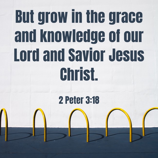 But grow in the grace and knowledge of our Lord and Savior Jesus Christ. - 2 Peter 3:18