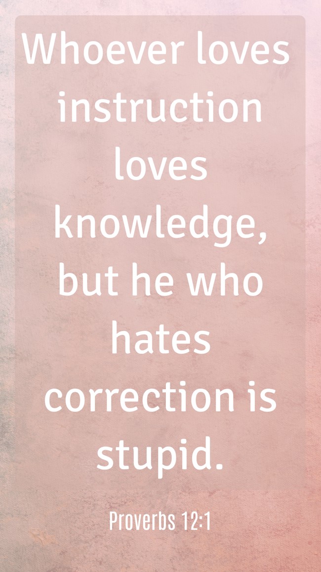 Whoever loves instruction loves knowledge, but he who hates correction is stupid. - Proverbs 12:1