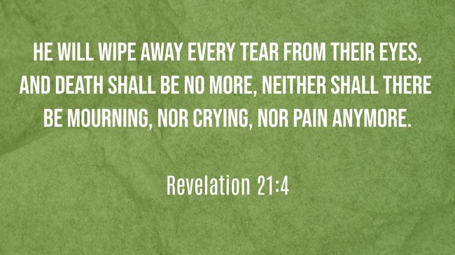  He will wipe away every tear from their eyes, and death shall be no more, neither shall there be mourning, nor crying, nor pain anymore.   - Revelation 21:4 