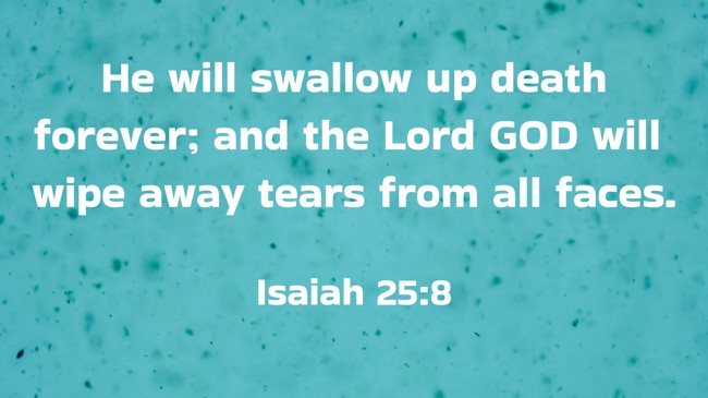  He will swallow up death forever; and the Lord GOD will wipe away tears from all faces.   - Isaiah 25:8 
