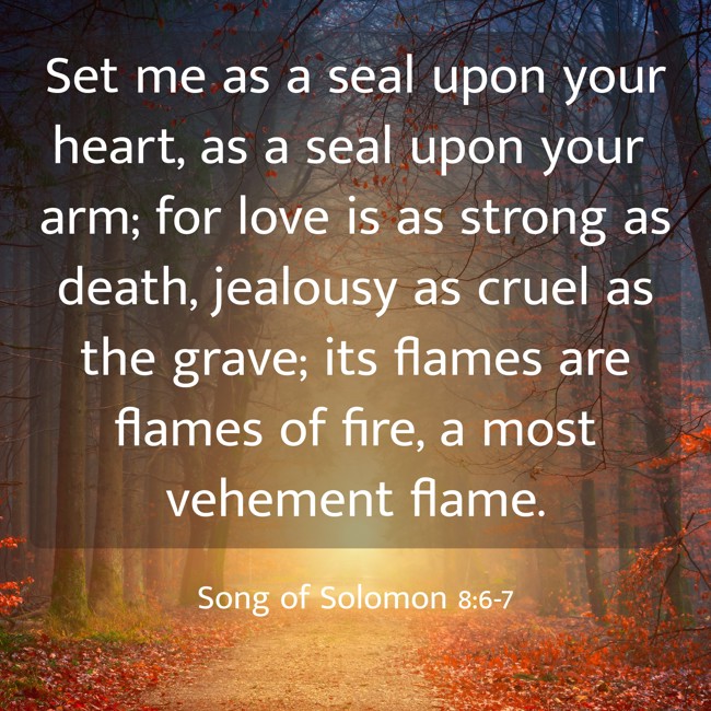 Set me as a seal upon your heart, as a seal upon your arm; for love is as strong as death, jealousy as cruel as the grave; its flames are flames of fire, a most vehement flame. - Song of Solomon 8:6-7