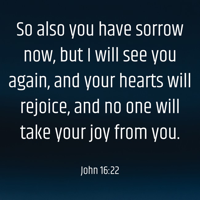  So also you have sorrow now, but I will see you again, and your hearts will rejoice, and no one will take your joy from you.   - John 16:22 