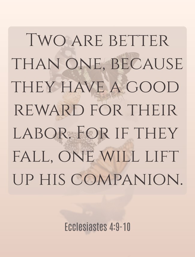 Two are better than one, because they have a good reward for their labor. For if they fall, one will lift up his companion. - Ecclesiastes 4:9-10