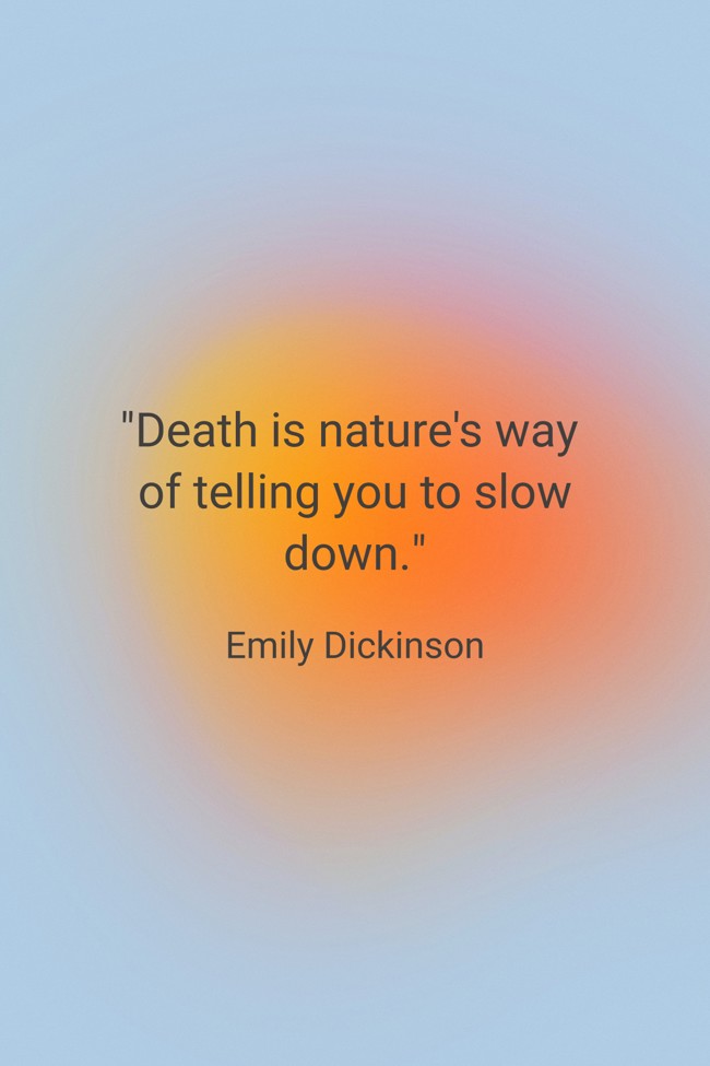  Death is nature's way of telling you to slow down.   - Emily Dickinson 