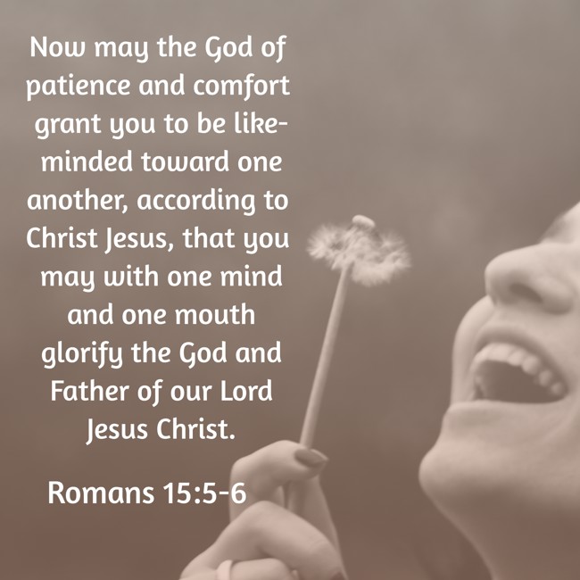 Now may the God of patience and comfort grant you to be like-minded toward one another, according to Christ Jesus, that you may with one mind and one mouth glorify the God and Father of our Lord Jesus Christ. - Romans 15:5-6