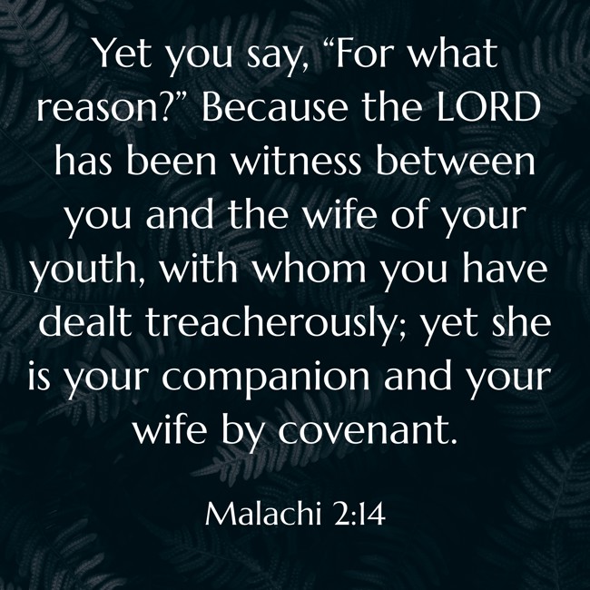 Yet you say, “For what reason?” Because the LORD has been witness between you and the wife of your youth, with whom you have dealt treacherously; yet she is your companion and your wife by covenant. - Malachi 2:14
