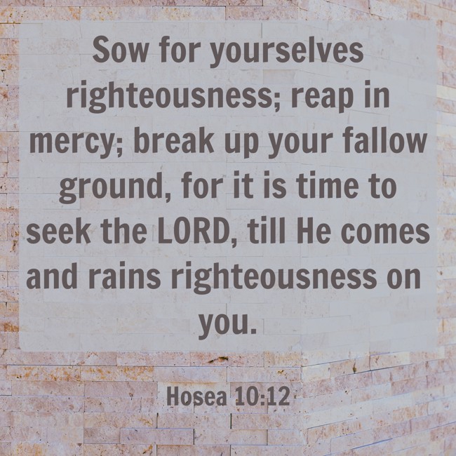 Sow for yourselves righteousness; reap in mercy; break up your fallow ground, for it is time to seek the LORD, till He comes and rains righteousness on you. - Hosea 10:12
