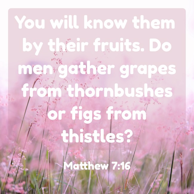 You will know them by their fruits. Do men gather grapes from thornbushes or figs from thistles? - Matthew 7:16