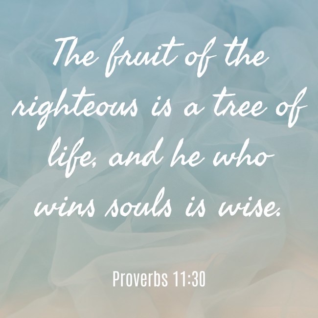 The fruit of the righteous is a tree of life, and he who wins souls is wise. - Proverbs 11:30