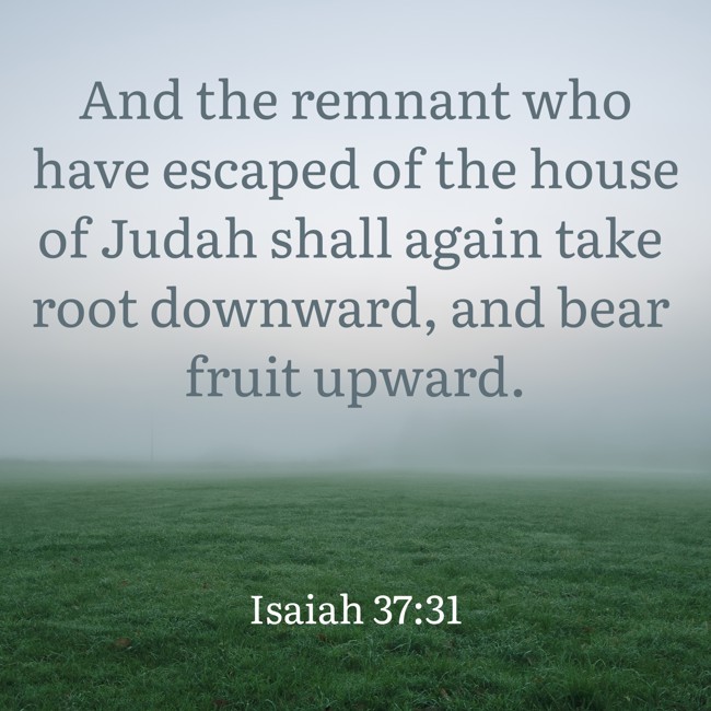 And the remnant who have escaped of the house of Judah shall again take root downward, and bear fruit upward. - Isaiah 37:31