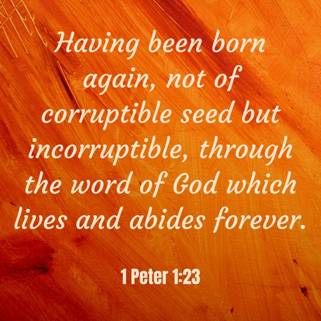 Having been born again, not of corruptible seed but incorruptible, through the word of God which lives and abides forever. - 1 Peter 1:23