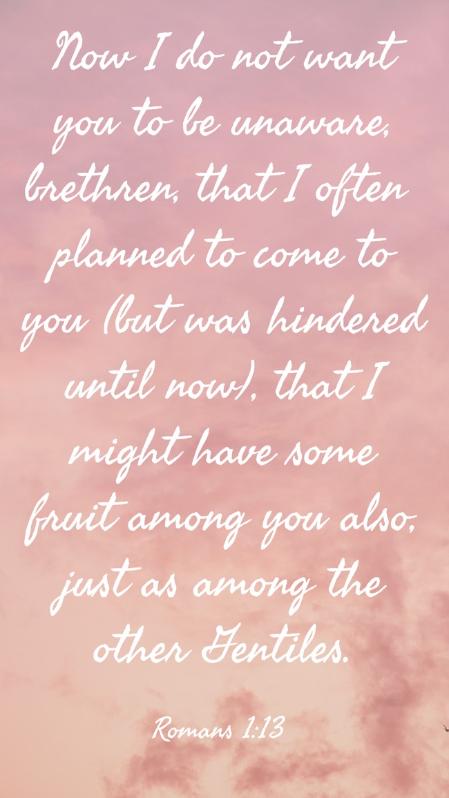 Now I do not want you to be unaware, brethren, that I often planned to come to you (but was hindered until now), that I might have some fruit among you also, just as among the other Gentiles. - Romans 1:13