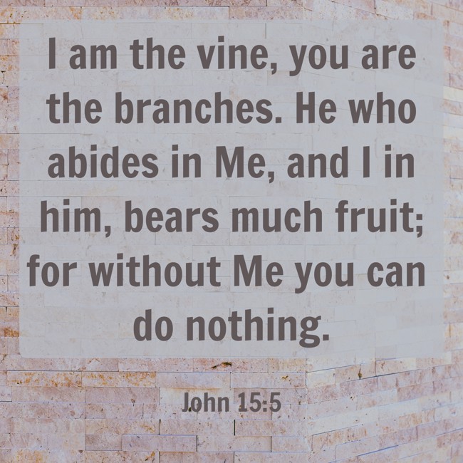 I am the vine, you are the branches. He who abides in Me, and I in him, bears much fruit; for without Me you can do nothing. - John 15:5