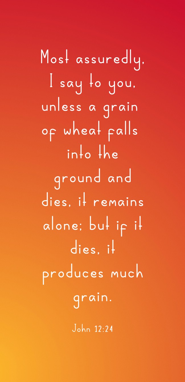Most assuredly, I say to you, unless a grain of wheat falls into the ground and dies, it remains alone; but if it dies, it produces much grain. - John 12:24