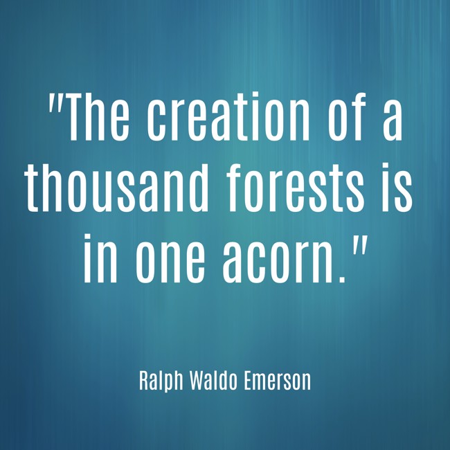 The creation of a thousand forests is in one acorn. - Ralph Waldo Emerson