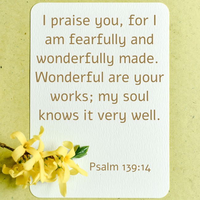 I praise you, for I am fearfully and wonderfully made. Wonderful are your works; my soul knows it very well. - Psalm 139:14