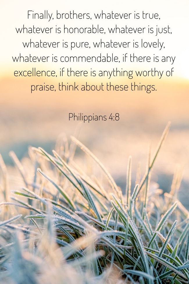 Finally, brothers, whatever is true, whatever is honorable, whatever is just, whatever is pure, whatever is lovely, whatever is commendable, if there is any excellence, if there is anything worthy of praise, think about these things. - Philippians 4:8