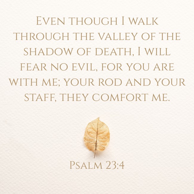 Even though I walk through the valley of the shadow of death, I will fear no evil, for you are with me; your rod and your staff, they comfort me. - Psalm 23:4