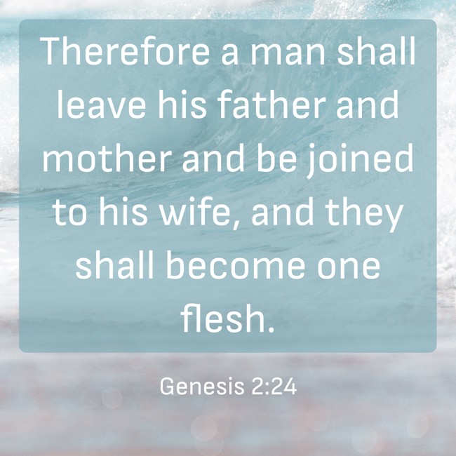 Therefore a man shall leave his father and mother and be joined to his wife, and they shall become one flesh. - Genesis 2:24