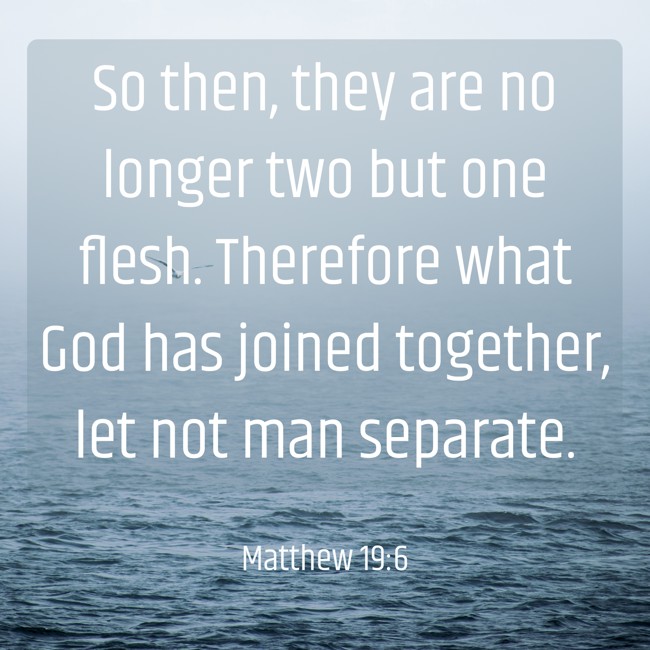 So then, they are no longer two but one flesh. Therefore what God has joined together, let not man separate. - Matthew 19:6