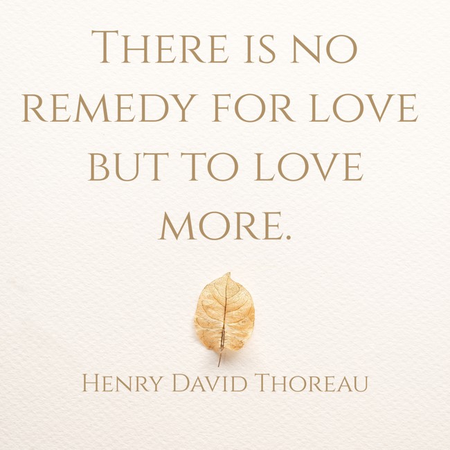 There is no remedy for love but to love more. - Henry David Thoreau