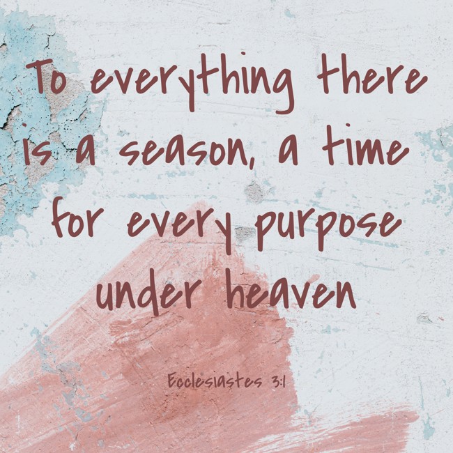 To everything there is a season, a time for every purpose under heaven - Ecclesiastes 3:1
