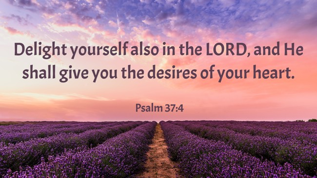 Delight yourself also in the LORD, and He shall give you the desires of your heart. - Psalm 37:4