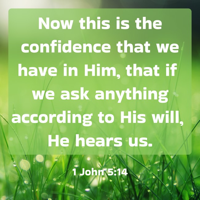 Now this is the confidence that we have in Him, that if we ask anything according to His will, He hears us. - 1 John 5:14