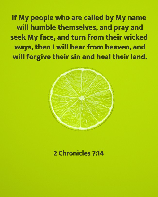 If My people who are called by My name will humble themselves, and pray and seek My face, and turn from their wicked ways, then I will hear from heaven, and will forgive their sin and heal their land. - 2 Chronicles 7:14