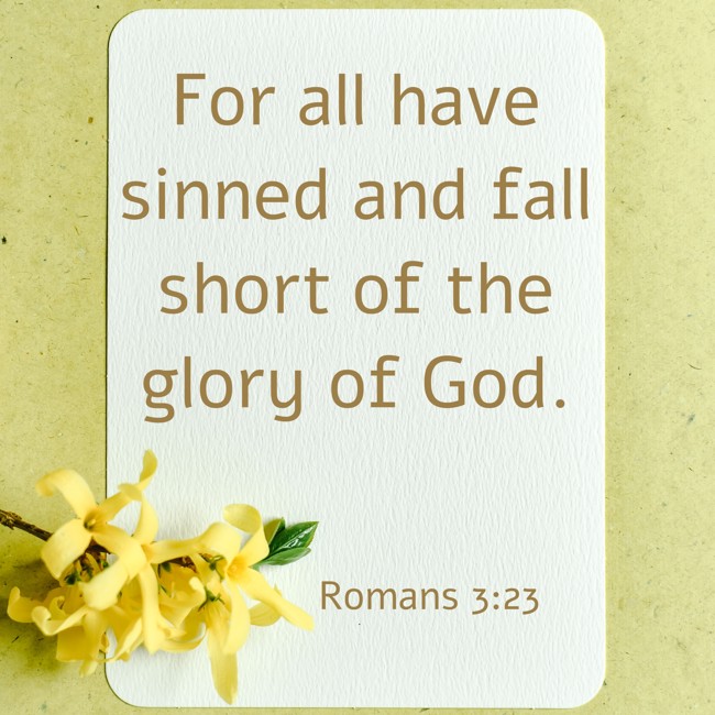  For all have sinned and fall short of the glory of God.   - Romans 3:23 