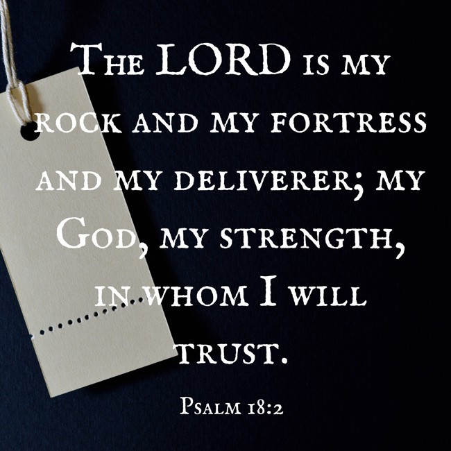 The LORD is my rock and my fortress and my deliverer; my God, my strength, in whom I will trust. - Psalm 18:2