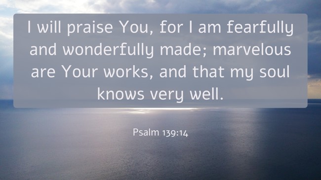I will praise You, for I am fearfully and wonderfully made; marvelous are Your works, and that my soul knows very well. - Psalm 139:14