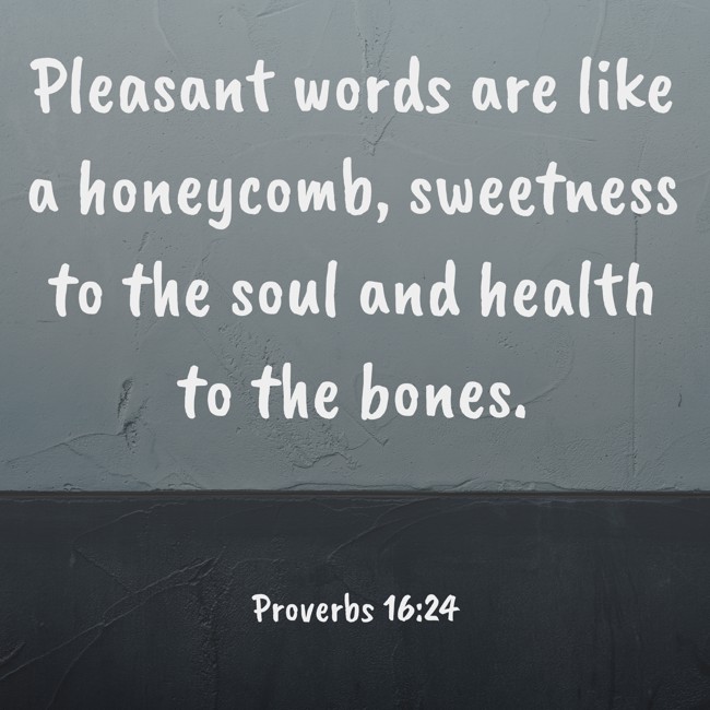 Pleasant words are like a honeycomb, sweetness to the soul and health to the bones. - Proverbs 16:24