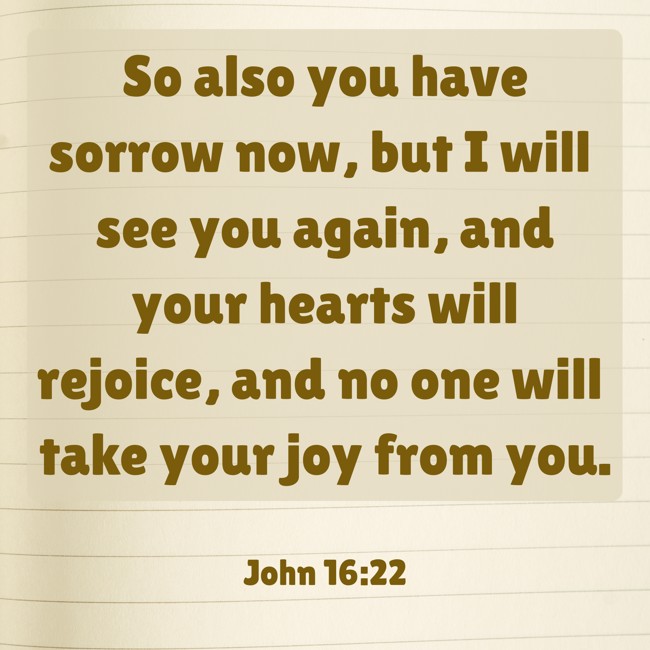 So also you have sorrow now, but I will see you again, and your hearts will rejoice, and no one will take your joy from you. - John 16:22