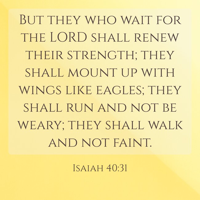 But they who wait for the LORD shall renew their strength; they shall mount up with wings like eagles; they shall run and not be weary; they shall walk and not faint. - Isaiah 40:31