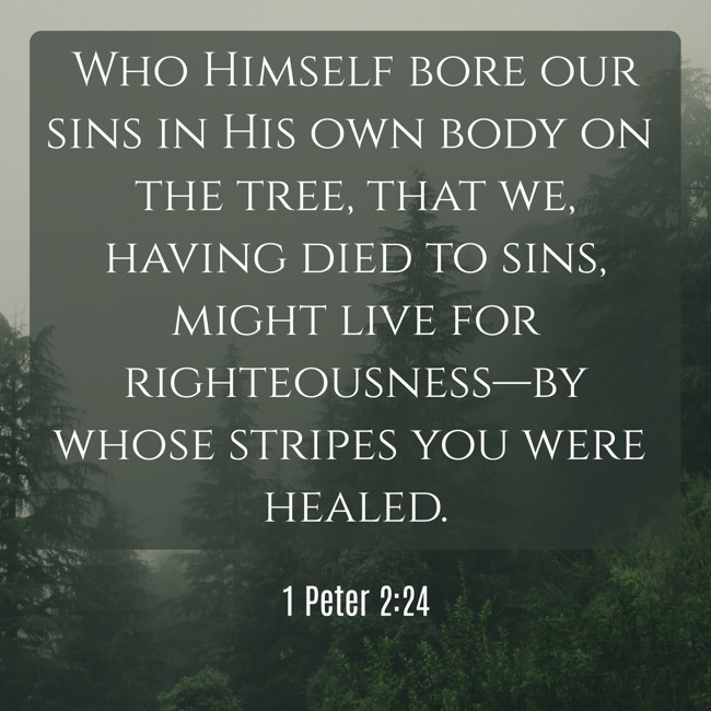 Who Himself bore our sins in His own body on the tree, that we, having died to sins, might live for righteousness—by whose stripes you were healed. - 1 Peter 2:24
