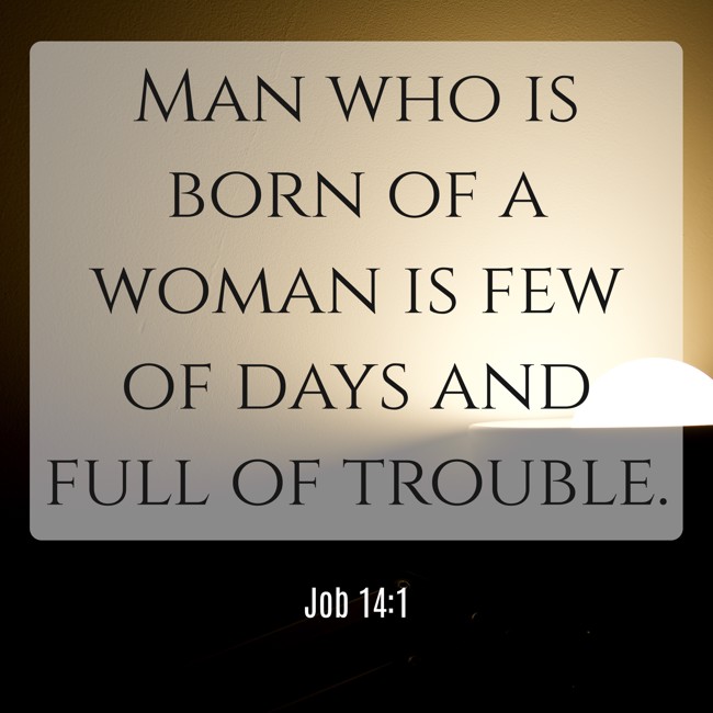 Man who is born of a woman is few of days and full of trouble. - Job 14:1