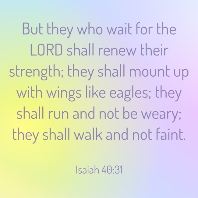  But they who wait for the LORD shall renew their strength; they shall mount up with wings like eagles; they shall run and not be weary; they shall walk and not faint.   - Isaiah 40:31 