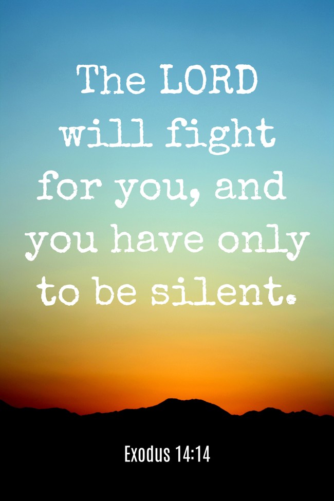  The LORD will fight for you, and you have only to be silent.   - Exodus 14:14 