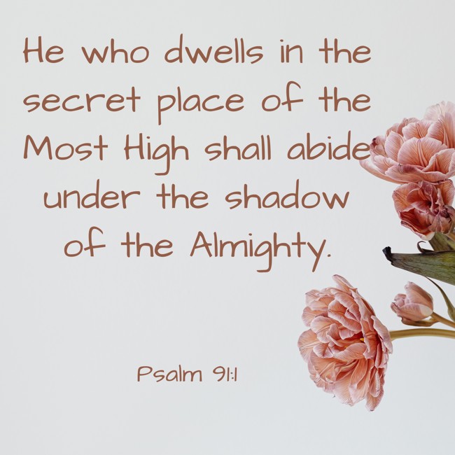 He who dwells in the secret place of the Most High shall abide under the shadow of the Almighty.   - Psalm 91:1 