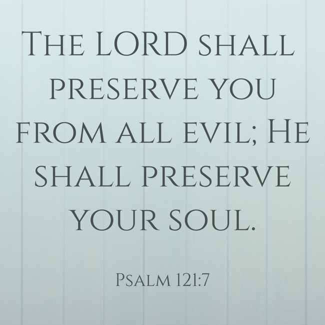  The LORD shall preserve you from all evil; He shall preserve your soul.   - Psalm 121:7 