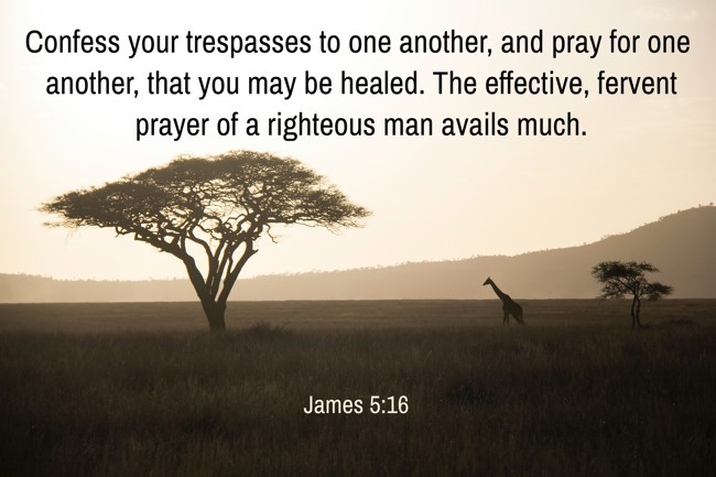  Confess your trespasses to one another, and pray for one another, that you may be healed. The effective, fervent prayer of a righteous man avails much.   - James 5:16 