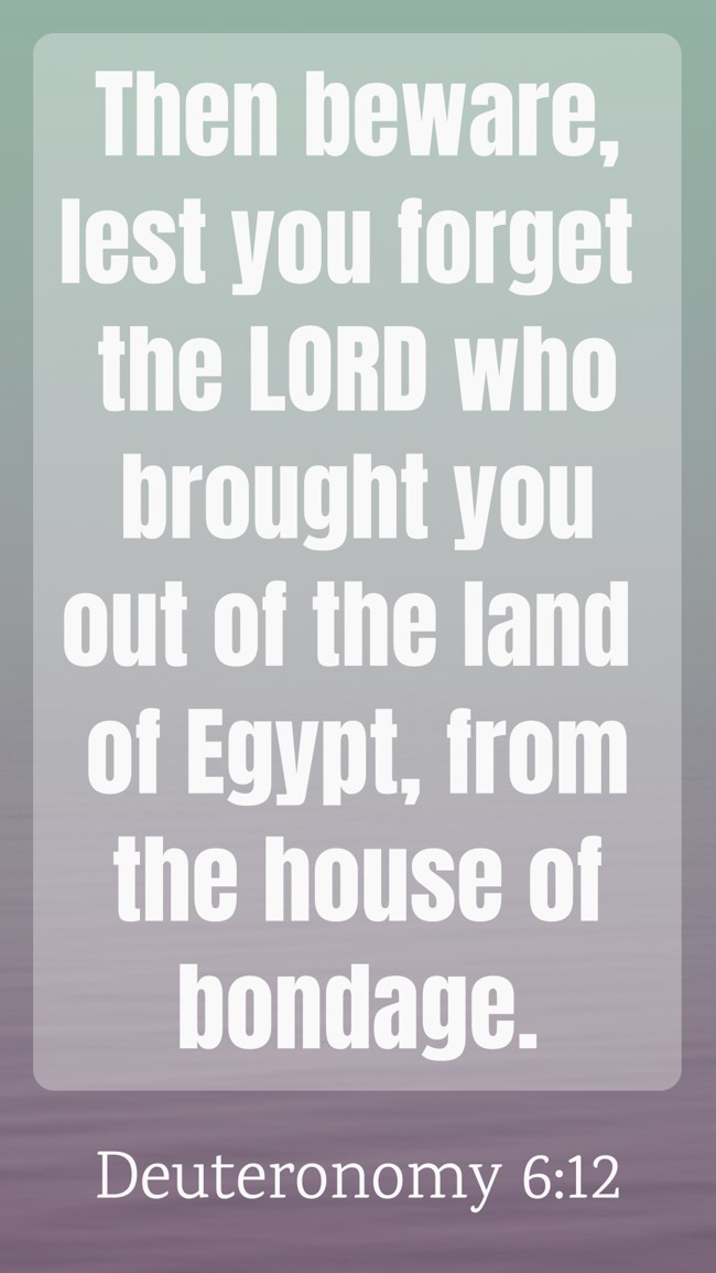  Then beware, lest you forget the LORD who brought you out of the land of Egypt, from the house of bondage.   - Deuteronomy 6:12 